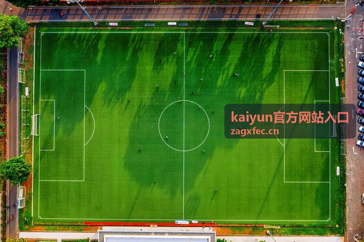 kaiyun官方网站入口核对要点与页面特征检查